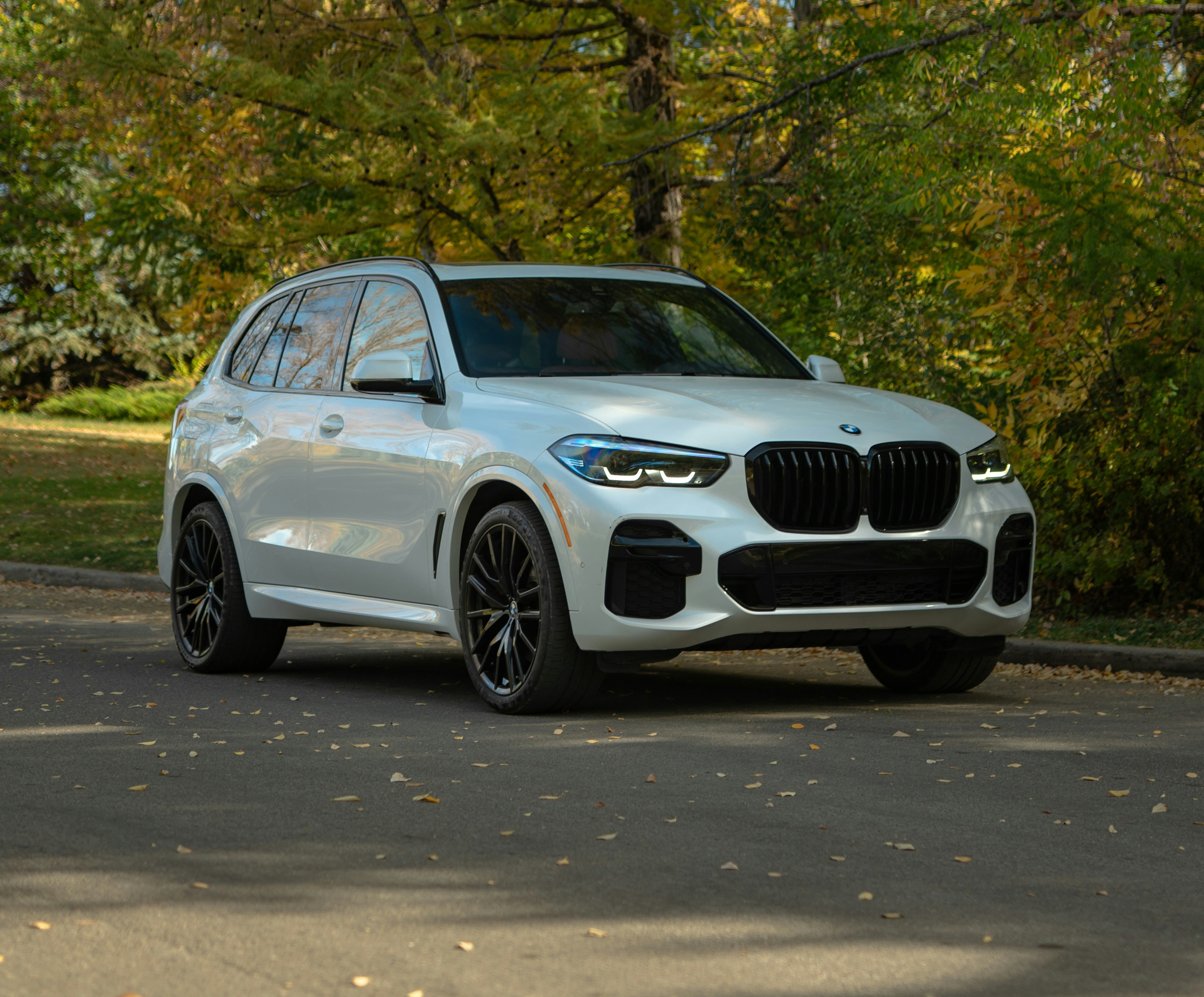 images/car1.jpg